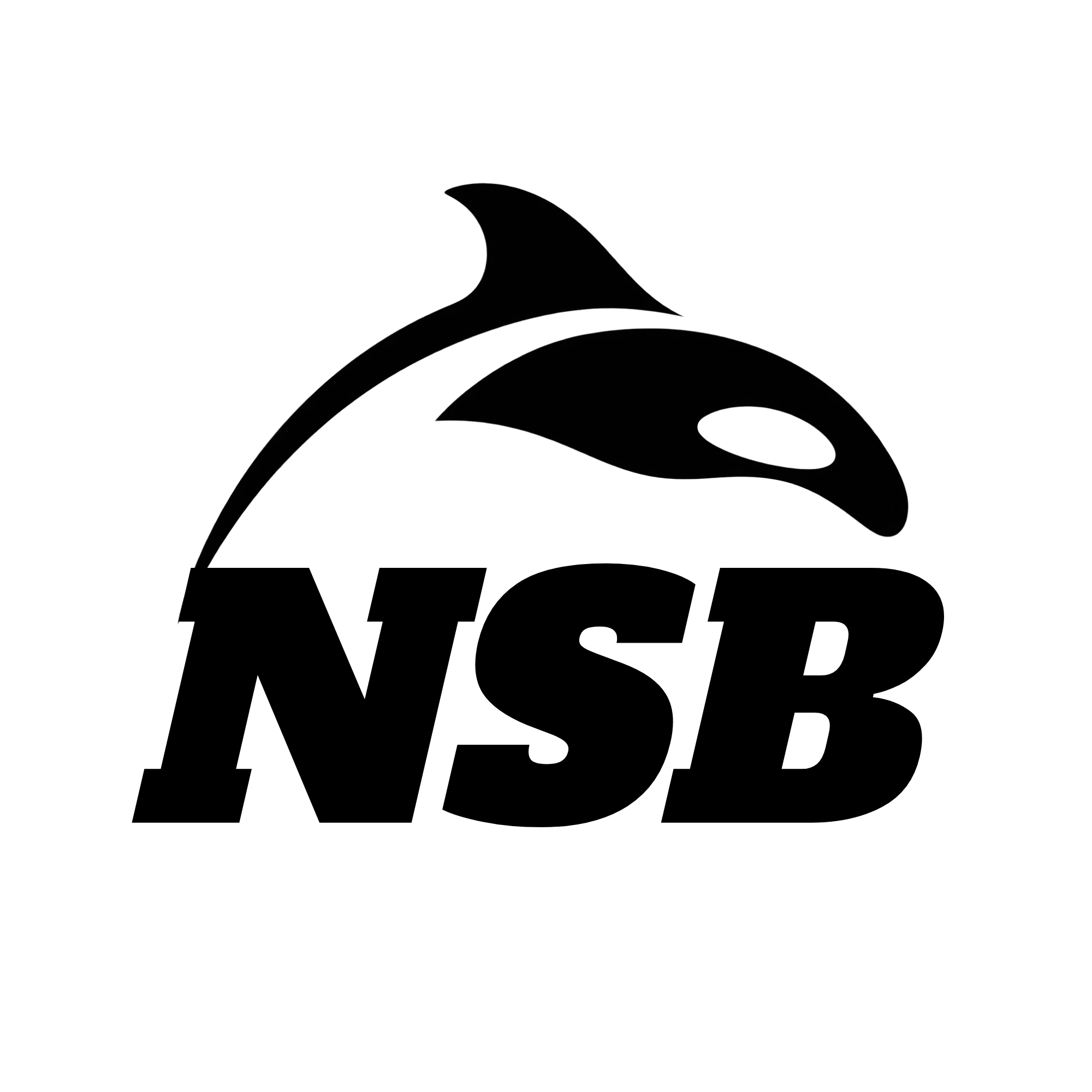 NSB
