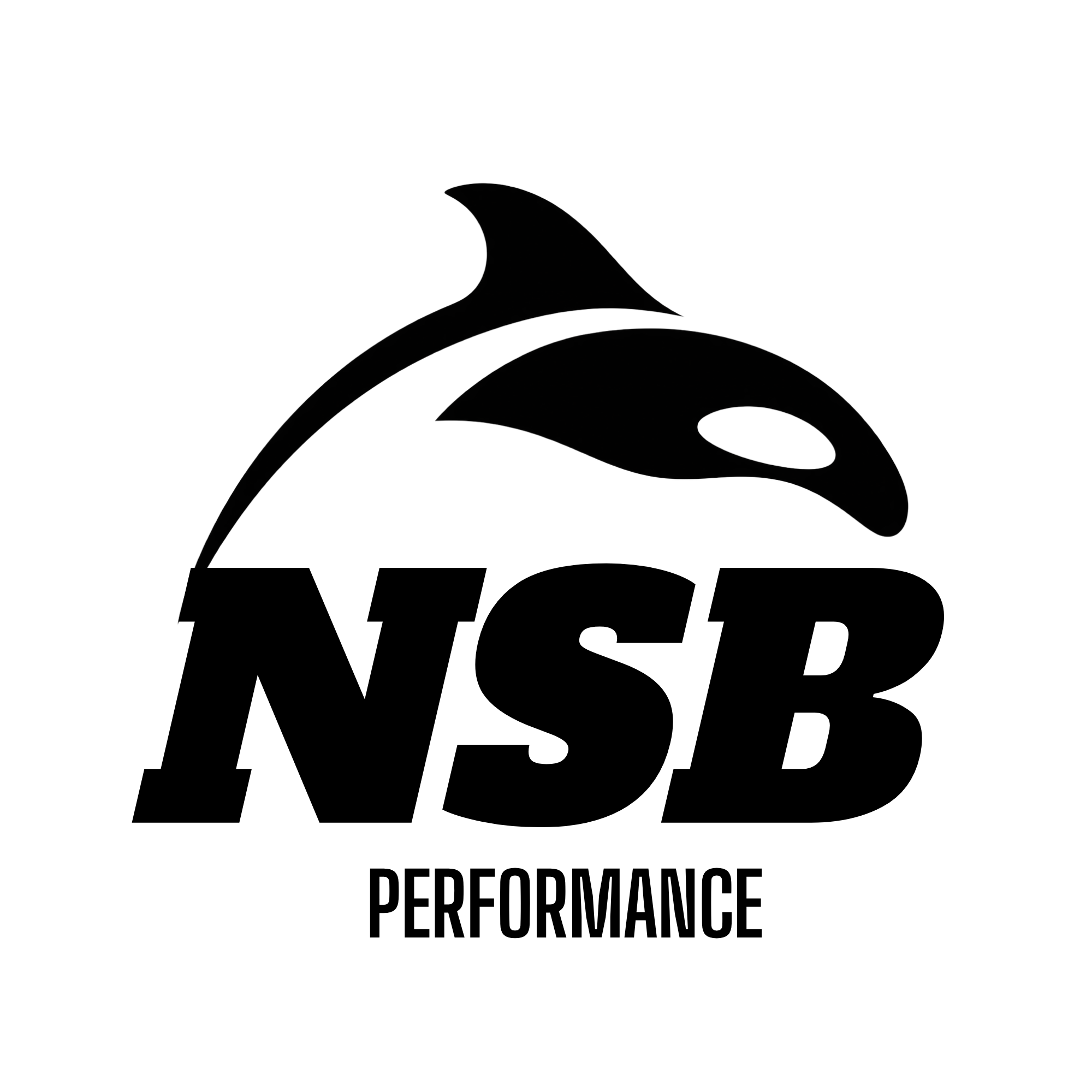 NSB Performance